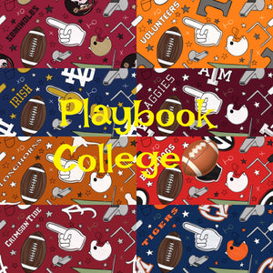 College Playbook