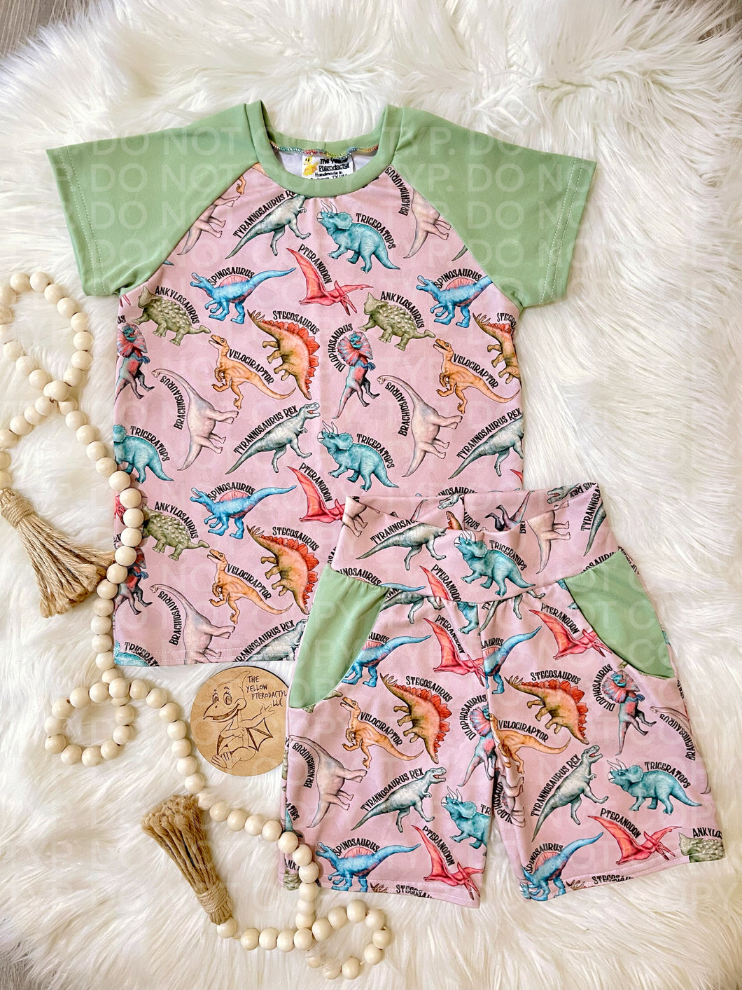 Dinosaurs Raglan/Shorts Set
