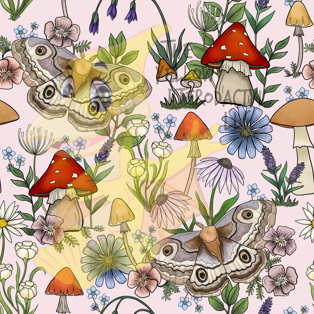 Mooshie Moths